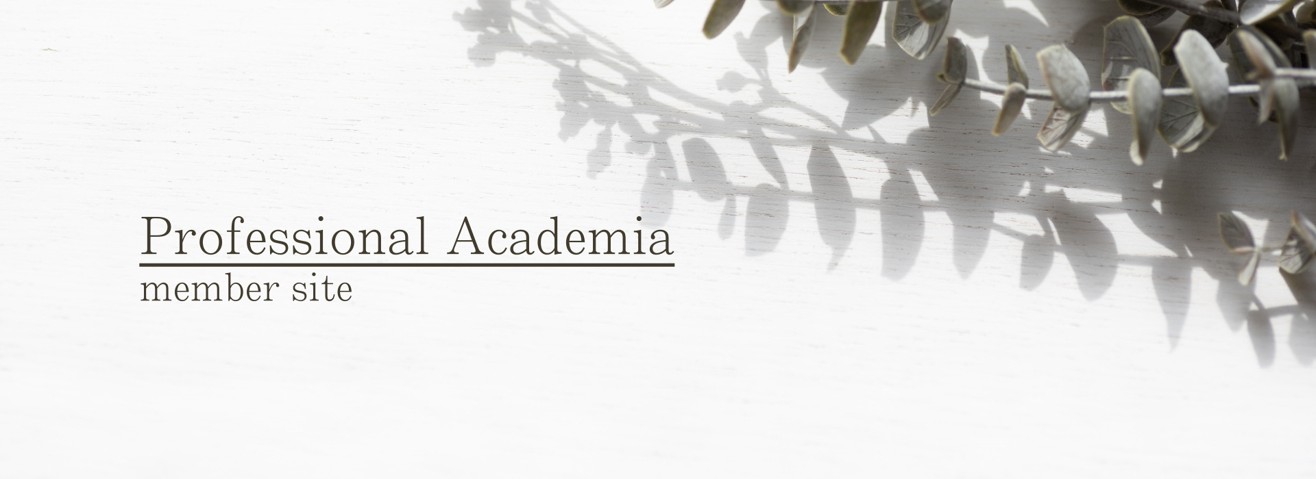 Professional Academia利用者サイト